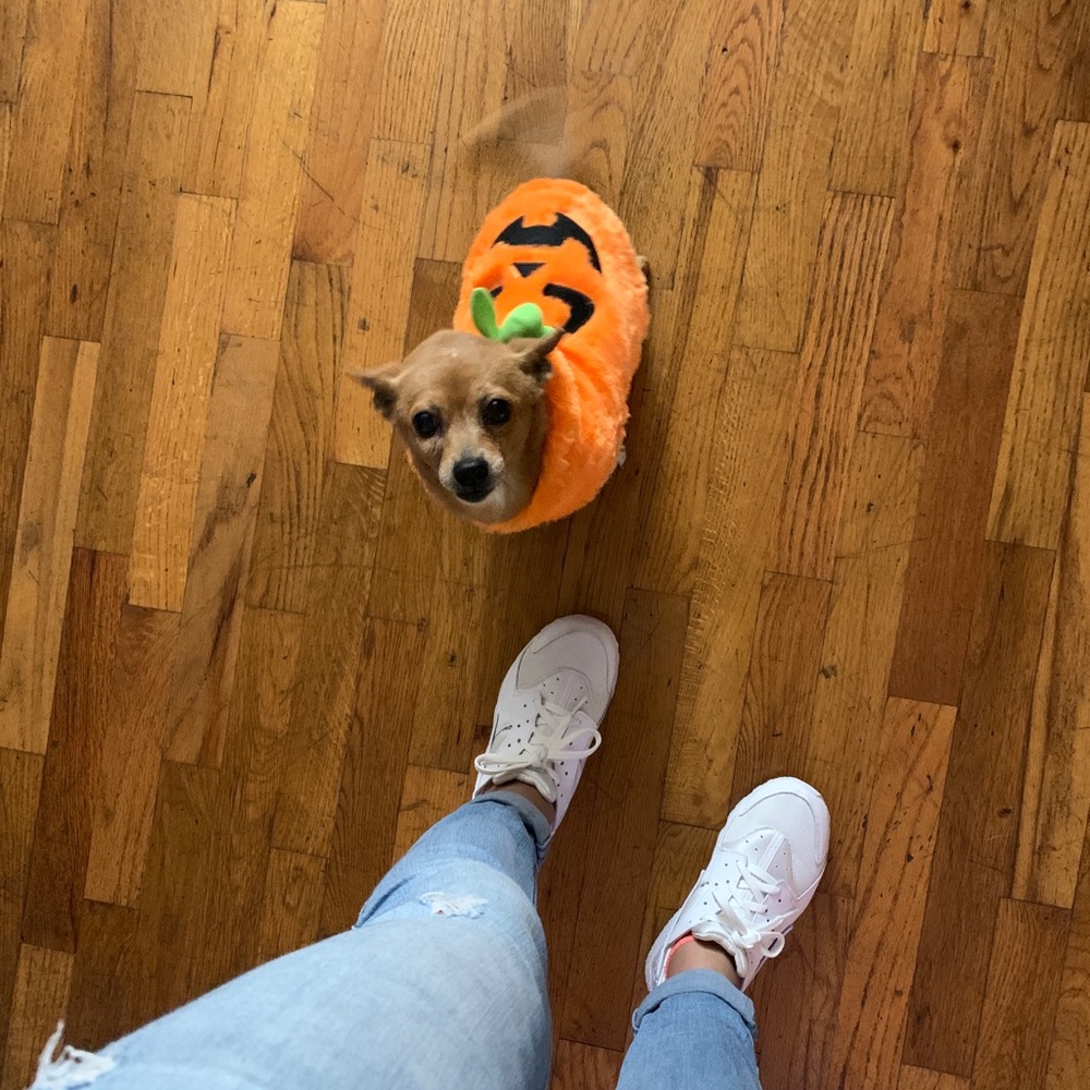 Meet your Posher, Cynthia